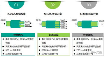 400G OTN 网络技术探讨与研究